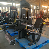 Offre Spéciale : Machine d'Extension et de Flexion des Jambes en Acier Gris pour la Musculation en Salle de Sport – Machine Assise pour Bras et Jambes