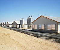 Derniers poulaillers bon marché préfabriqués en acier pour volailles, entrepôt à poulets