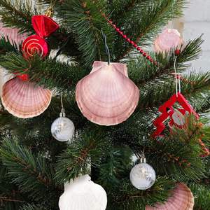 เปลือกหอยหอยเชลล์ธรรมชาติ30ชิ้นเปลือกหอยจริงสีม่วงแดงจากชายหาดสำหรับงานจิตรกรรมงานฝีมือ DIY ของตกแต่งงานแต่งงาน - Product Image 6