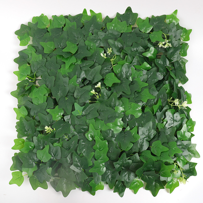 Plante grimpante de Virginie enduite de 50 cm x 50 cm