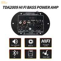 12V/24V 220V TDA2009 araba güç amplifikatörü Subwoofer amplifikatör kurulu araba ses amplifikatörleri BT uzaktan kumanda ile
