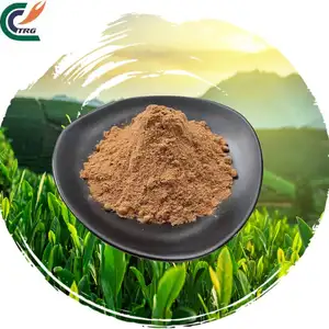 Rifornimento di fabbrica TP (polifenoli del tè) 98% polifenoli in polvere integratore polifenoli estratto di estratto di tè verde estratto di tè