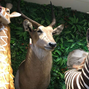 Decoración de Pared para el Hogar, <span class=keywords><strong>Hotel</strong></span>, Club, <span class=keywords><strong>Villa</strong></span>, Colección de Arte de Decoración de Pared con Cabeza de Antílope - Product Image 5