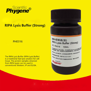 Reagente Chimico - Buffer di Lisi <span class=keywords><strong>RIPA</strong></span> (Potente) 100mL - Product Image 3