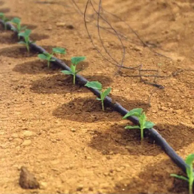Système de tuyaux d'irrigation goutte à goutte en plastique Agriculture Farm Ruban goutte à goutte pour usage agricole