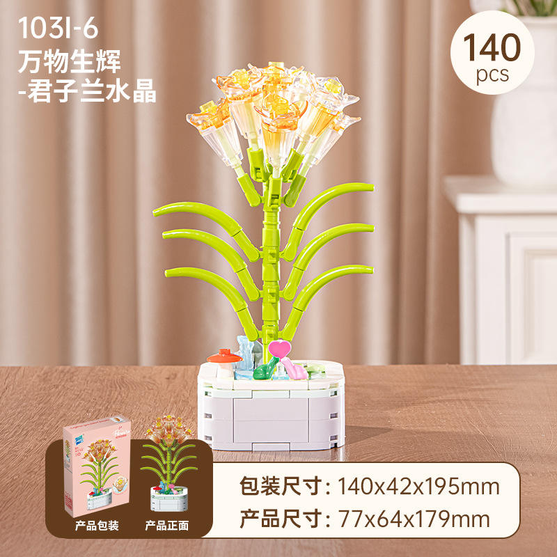 Clivia 103I-6