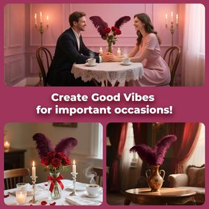 Bán Buôn Nhập Khẩu Nhuộm Lông Đà Điểu Home & Trang Trí Đám Cưới Hàng Thủ Công Mỹ Nghệ Lông Bán Giá Rẻ Giá Nhà Cung Cấp - Product Image 6