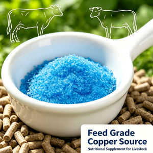 Sulfate <span class=keywords><strong>de</strong></span> <span class=keywords><strong>cuivre</strong></span> <span class=keywords><strong>de</strong></span> qualité alimentaire, teneur 99 %, CAS 7758-99-8 - Product Image 2