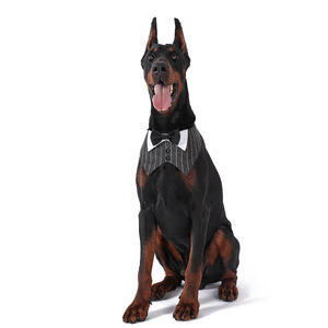 Tanpopo disfraz boda cinta mágica perro Bandana Collar elegante traje Bowtie Formal mascota Collar esmoquin suministros <span class=keywords><strong>precio</strong></span> de fábrica - Product Image 2