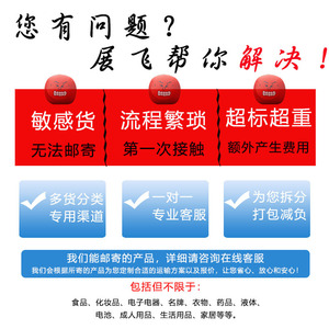 Zhanfei International : Logistique transfrontalière, Express international, Expédition de fret, Livraison mondiale, Ligne dédiée Japon-USA - Product Image 3