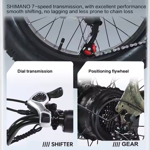Bicicleta eléctrica extraíble con motor de cubo de <span class=keywords><strong>2</strong></span> ruedas con marco trasero suave de acero de alto carbono con dos baterías en el mercado vietnamita - Product Image 5