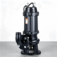 Pompe submersible à broyeur pour eaux usées série WQ 5HP, hauteur de refoulement 100m, en acier inoxydable 304, pompe centrifuge de drainage pour boues, excréments et eaux usées