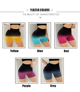 FAMOUS BRAND QUALITY Quick Dry Breathable No Pilling Yoga Seamless Shorts Set Eco Friendly Yoga Pants