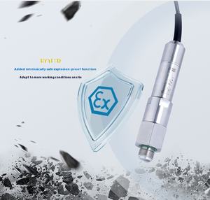 Transmetteur de pression CYYZ36A IP67 en acier inoxydable résistant aux chocs - Capteur de type boue résistant aux vibrations et à l'usure, personnalisé, 4-20 mA, liquide - Product Image 3