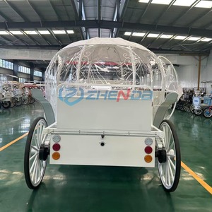 Nouvelle Conception d'Usine - Carrosse Citrouille de Style Européen en Acier Q235B, Modèle Électrique Surdimensionné Sur Mesure pour 10-12 Personnes - Product Image 5