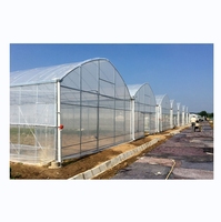 Serre agricole multi-travées en film plastique, solution clé en main pour la culture hydroponique de tomates, à vendre