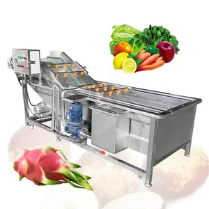 OCEAN Industrial Conveyor Belt Papaya Clean Bubble Washer Leaf Vegetable and Fruit Wash Machine