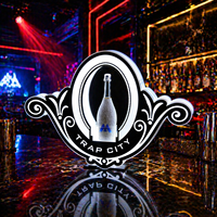 LiqVis Présentoir LED Lumineux pour Bouteilles, Style Ruban Acrylique, Couleurs Multiples, Éclairage Variable, Effet Glamour, pour Événements VIP et Bars