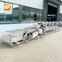 Orme Dragon Fruit Automatische Appelknoflook Aardappel Schone Wasmachine Schil Plak Banaan Wassen En Sorteren Lijn