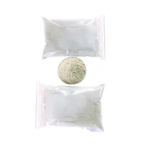 Fast Delivery Wooden Powder Good Price Made From Quality Fine Powder Made From Plants Easy To Use Customized Packing From Vietna