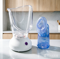 Masseur facial personnel à vapeur avec embout nasal, brume chaude pour le visage et le nez, pour le nettoyage des pores et le soulagement des sinus