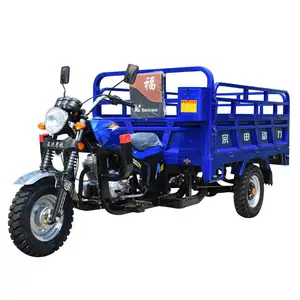 China supply wholesale custom 3 wheels 200cc 250cc cargo tricycle Motorised farming gasoline trike motorcycle