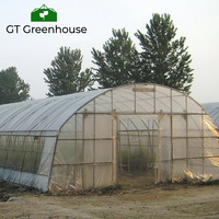 Serre tunnel en plastique pour produits agricoles GT, pour l'agriculture, Invernaderos Chine