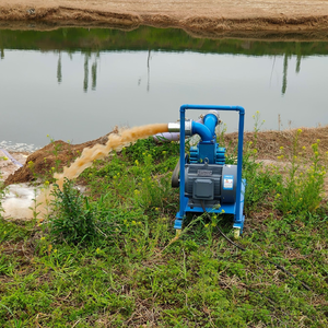 Bomba de lodos de aguas residuales diésel de un solo cilindro, máquina portátil de succión de heces con ruedas, bomba de limpieza de tanques sépticos y sedimentos de río - Product Image 6