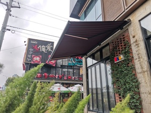 <span class=keywords><strong>Toldo</strong></span> Retráctil Motorizado con Protección UV, Tela Recubierta de PVC, para Balcón, Patio Trasero, <span class=keywords><strong>Terraza</strong></span>, Villa, Área de Recreo al Aire Libre - Product Image 4