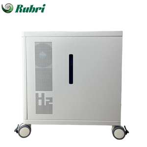 Rubri 수소 물 전해기 1000 ml/min 연료 전지 용 수소 가스 발생기 - Product Image 2