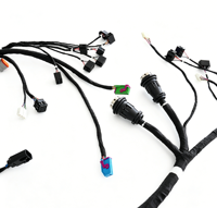 Assemblaggio Personalizzato di Cablaggi per OEM e Motociclette con Isolamento in Nylon - Servizio OEM/ODM