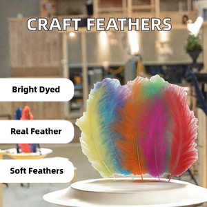 Bán Buôn Nhuộm Thổ Nhĩ Kỳ Lông Trims-4-7 Inch Tùy Chỉnh Chiều Dài & Màu Sắc Cho DIY Thủ Công Mỹ Nghệ Hat Ban Nhạc Bohemian & Đảng Trang Trí Nội Thất - Product Image 6