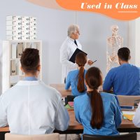 Vente en gros Armoire de rangement murale Casier transparent pour téléphone portable en lucite avec serrures et clés 15 emplacements pour le bureau, l'école et la salle de sport