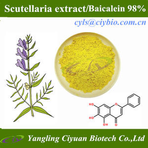 Pasokan Pabrik Suplemen Herbal Potensi Tinggi Baicalein 98% Bubuk <span class=keywords><strong>Scutellaria</strong></span> <span class=keywords><strong>Baicalensis</strong></span> Ekstrak Kapsul - Product Image 2