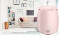 Diffuseur d'huiles essentielles 120ml Mini humidificateurs à ultrasons portables
