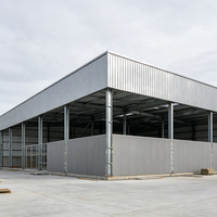 Edificio de Estructura de Acero de Gran Envergadura, Taller de Acero Estructural Personalizado para Proyectos de Construcción de Fábricas Industriales y Comerciales