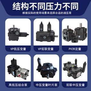 Fournisseur direct d'usine de pompes à aubes PV2R1, pompes hydrauliques à engrenages en spécifications complètes (6/8/10/12/14 ml/r) - Product Image 4