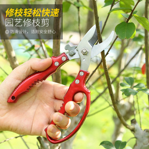 Tijeras de Podar Pinheng para Jardín, Acero Inoxidable, Hoja de 50 mm, Diámetro de Corte de 20-30 mm, Estructura de Mariposa para Árboles Frutales y Flores - Product Image 1