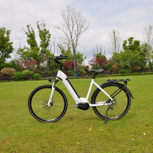 750w de la vieja escuela de crucero de <span class=keywords><strong>playa</strong></span> helicóptero/500 w rata caliente ROD E bicicleta con batería oculta 2019 - Product Image 3