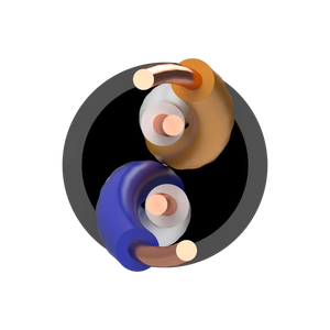 Uzkabel Cat5e U UTP Copper Network <b>Cable</b> PE 2x2x0.52mm Outdoor Ethernet <b>Cable</b> for <b>Communication</b> Systems - Product Image 1