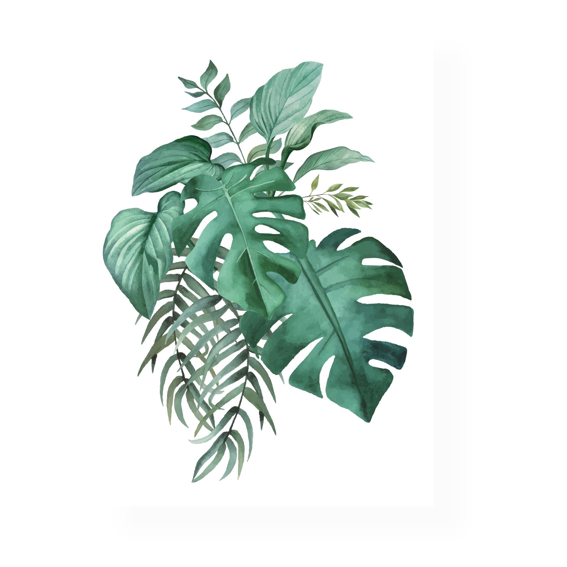 墙艺北欧植物绿叶帆布绘画海报和印花墙画帆布厂家批发 - buy green