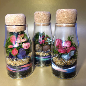 <span class=keywords><strong>Vase</strong></span> de terrarium en verre de 150ml Art déco moderne avec liège en bois et mousse Présentoir de table de Noël créatif - Product Image 4