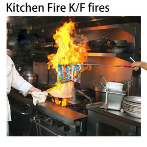 <span class=keywords><strong>Extincteur</strong></span> de cuisine : Capacités de lutte contre l'incendie supérieures – Petite pochette pré-emballée contenant un liquide <span class=keywords><strong>extincteur</strong></span> - Product Image 2