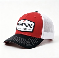 Gorra de Béisbol Personalizada, Gorra de Malla Estilo Dad Hat, Nueva, de 6 Paneles, Bordada, de Alta Calidad, con Logotipo, Deportiva, Ajustable, Unisex