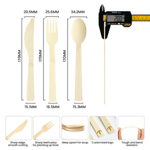 Wholesale Factory Direct Sale Bulk 140mm 170mm Eco-friendly Biodegradable Disposable Bamboo Mirror Camping Knife <strong>Fork</strong> <strong>Spoon</strong> - Product Image 2
