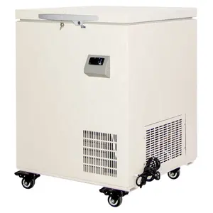 Refrigerador vertical no peito freezer ultra baixa temperatura de laboratório médico