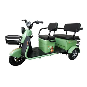 Fast Shipping Manufacture Adult 3 Wheel 2 Seat Passenger Cargo Electric Scooter Electric Tricycle For Leisure