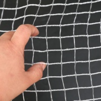 Filet anti-oiseaux en PE de haute qualité avec protection UV, filet de capture d'oiseaux en plastique