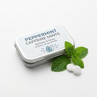 Permen Peppermint Bebas Gula Rasa Buah Segar Label Pribadi Grosir Kustom