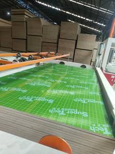 <span class=keywords><strong>Le</strong></span> <span class=keywords><strong>film</strong></span> marin en plastique vert de la feuille 18mm de contreplaqué de pp a fait face au contreplaqué pour la construction - Product Image 4